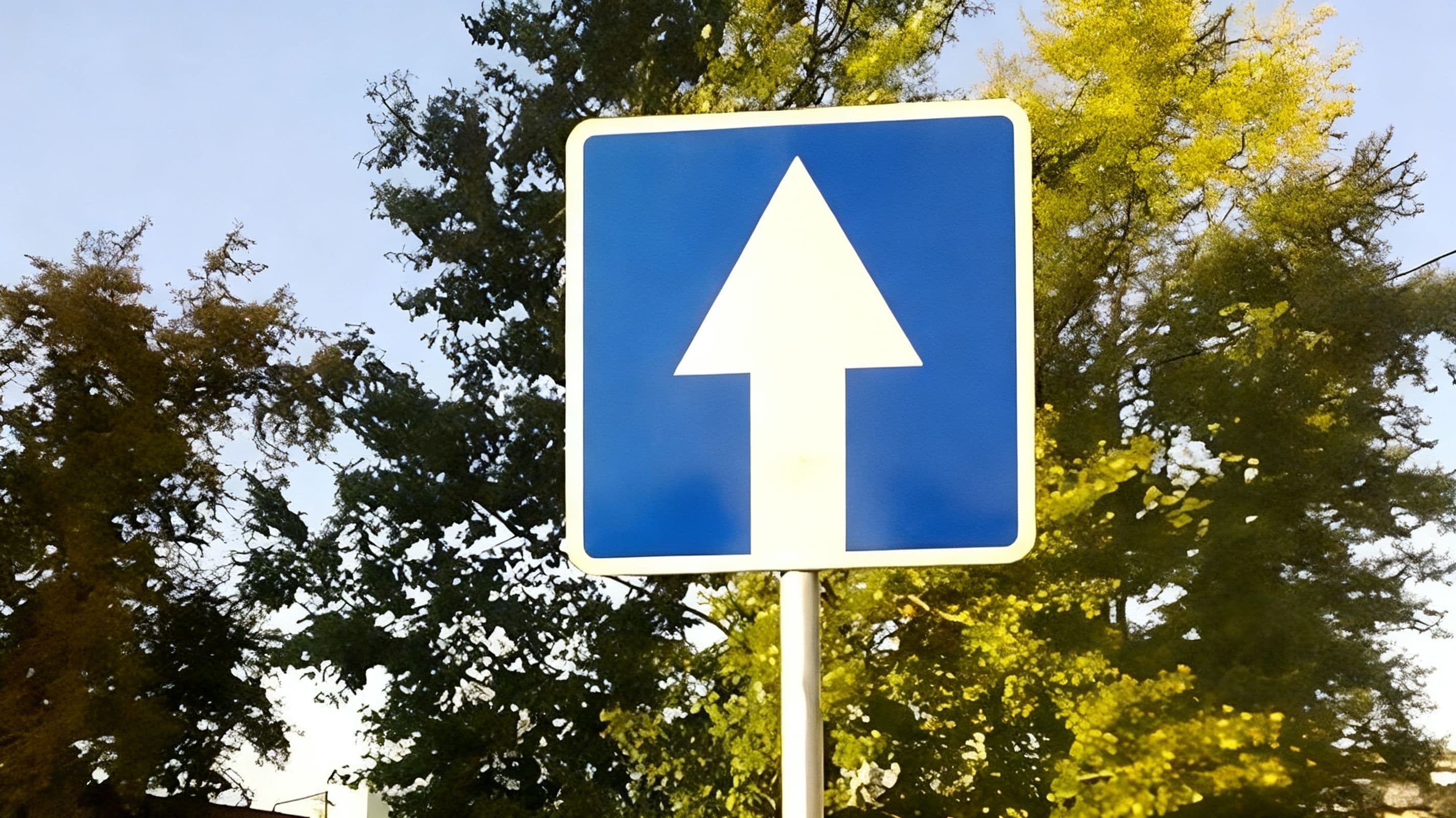 Львів, вулиці Сковороди та Кармалюка: зміна напрямків руху з 7 вересня