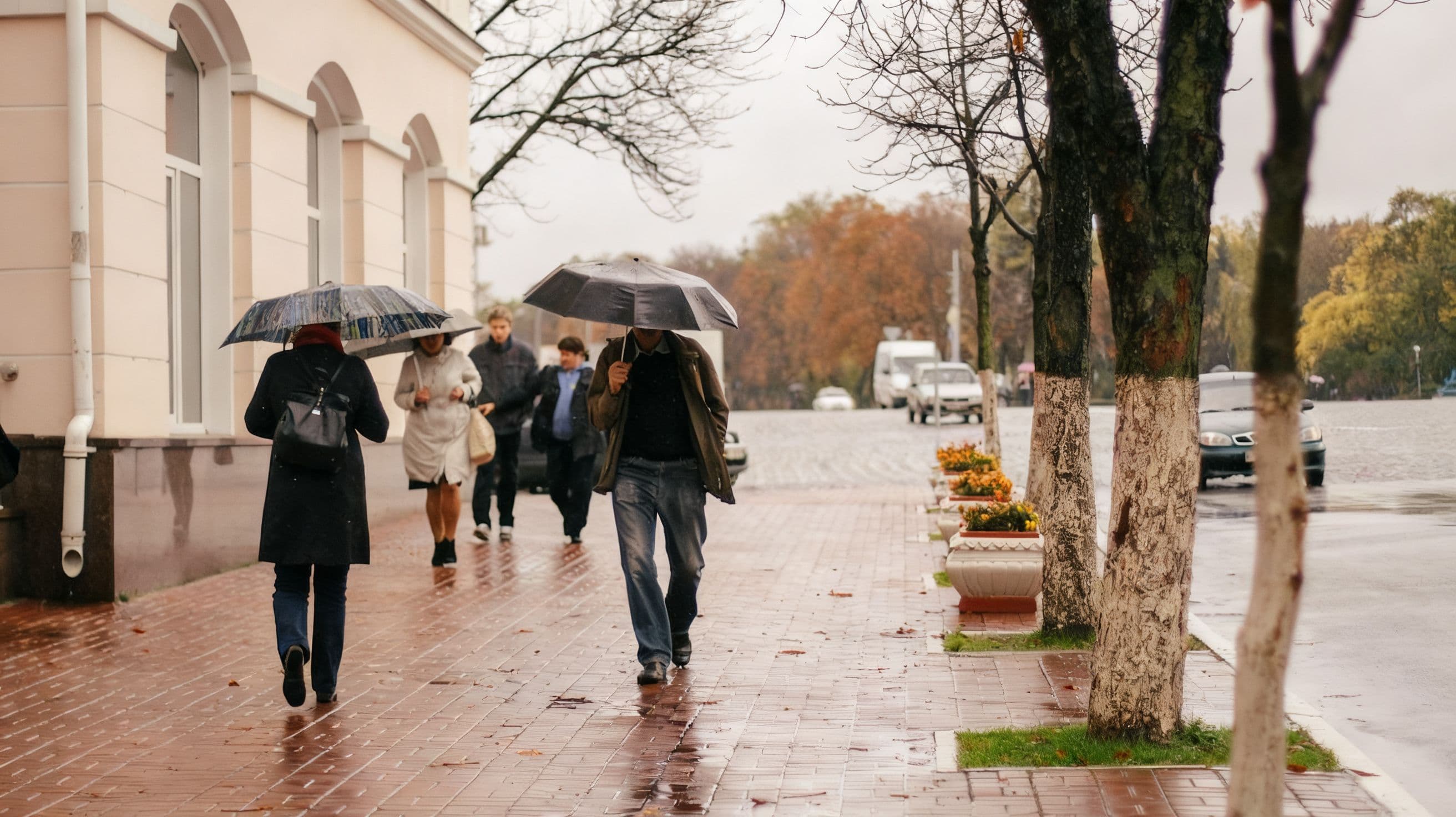 Західна Україна: нова хвиля похолодання з +16°C вдень