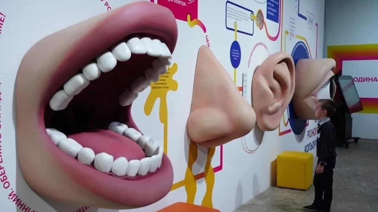 музей науки 1.webp