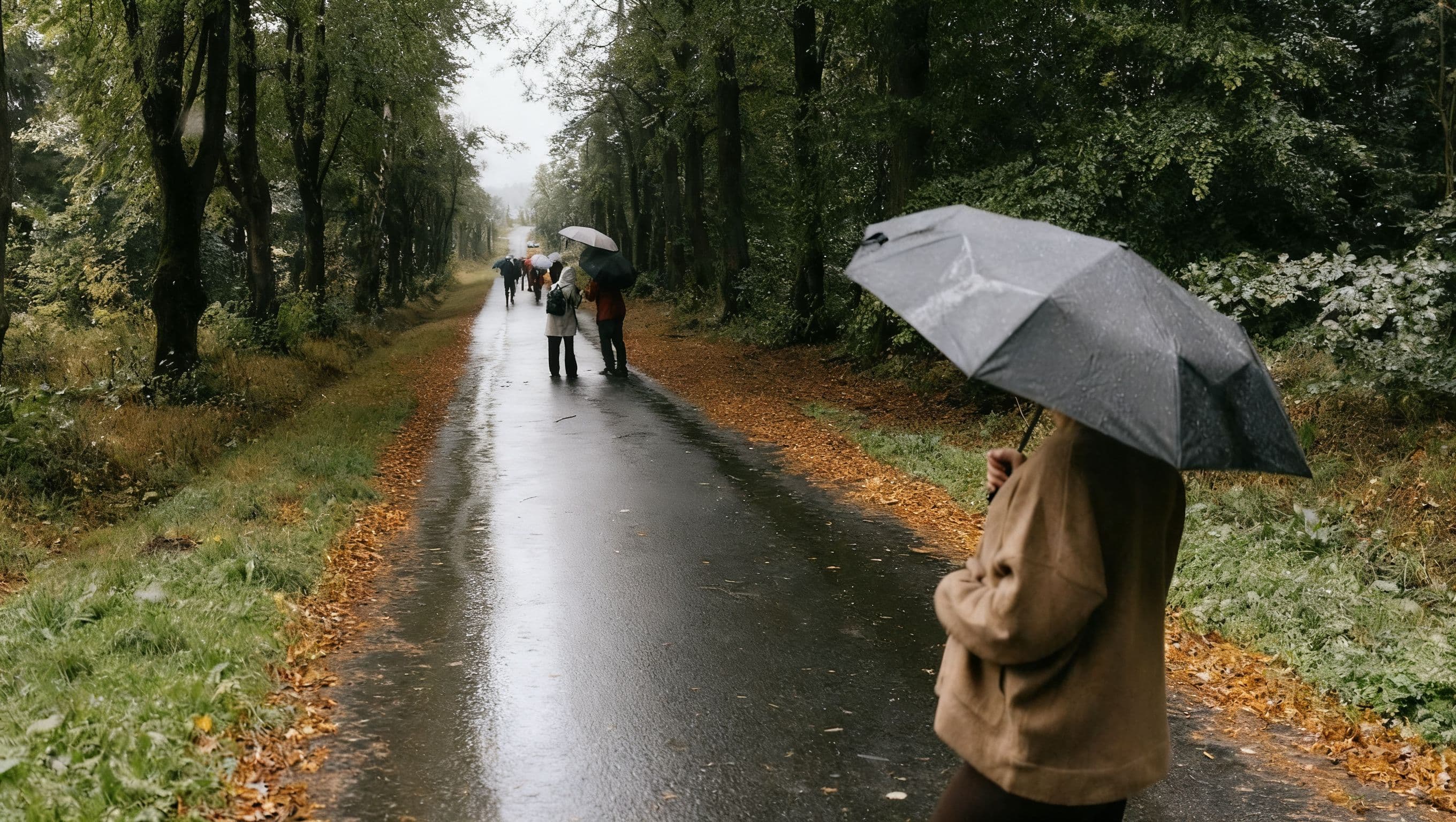 Україна: Похолодання з 21 вересня